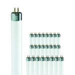 Lot 25x Philips T5 Short 8W - 640 Blanc Froid | 29cm
