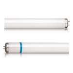 Philips TL-D Secura 18W - Noirlight | 60cm