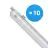 Lot 10x Philips Réglette LED Étanche CoreLine WT120C 42.9W 6000lm - 840 Blanc Froid | 150cm