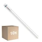 Lot 10x Philips MASTER LED T8 (EM/Direct 230V) High Output T8 7.6W 1150lm - 840 Blanc Froid | 60cm - Équivalent 18W